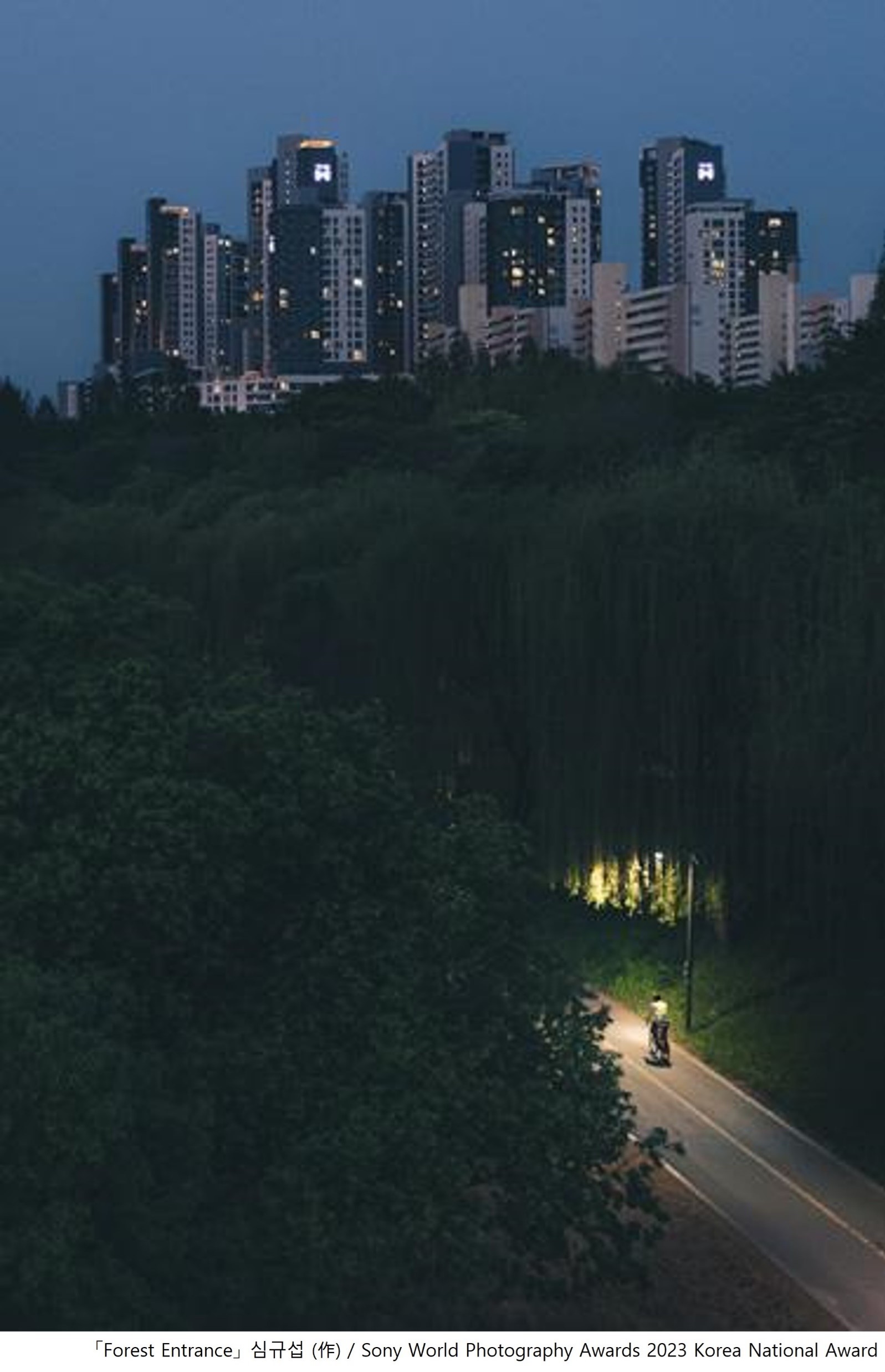 2023 소니 월드 포토그래피 어워드 금상