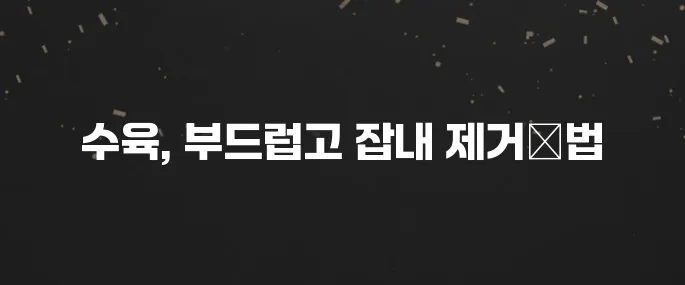 부드럽고 잡내 없는 수육 맛있게 삶는 황금레시피