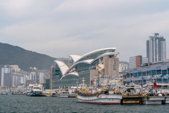 6시 내고향에 방영된 부산 남포동 로컬 맛집