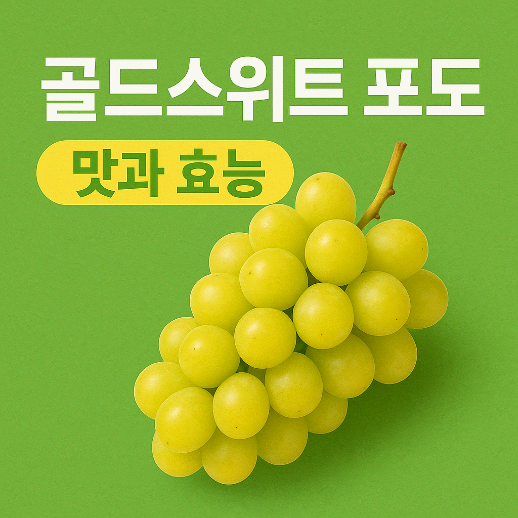 🍇“이 포도, 그냥 포도 아님!” 골드 스위트 포도 맛과 효능, 먹어본 후기까지!