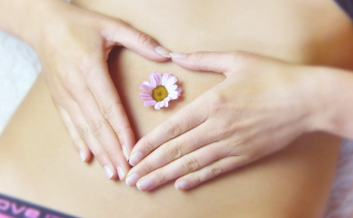 차전자피
