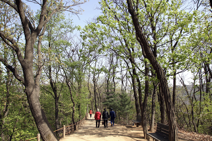 까치산근린공원 이미지