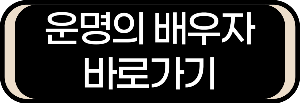 내 운명의 배우자