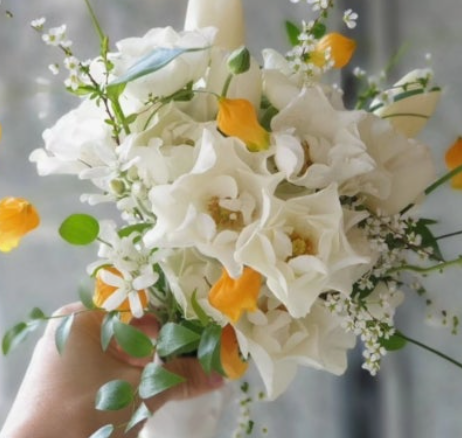 하얀 프리지아 꽃말