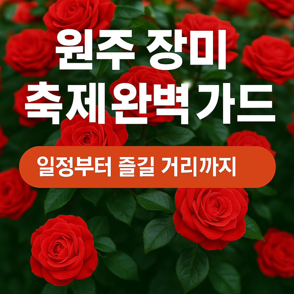 원주 장미축제 완벽 가이드: 일정부터 즐길 거리까지 총정리!