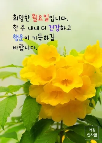 유머 인사말 모음 예시 메일_28