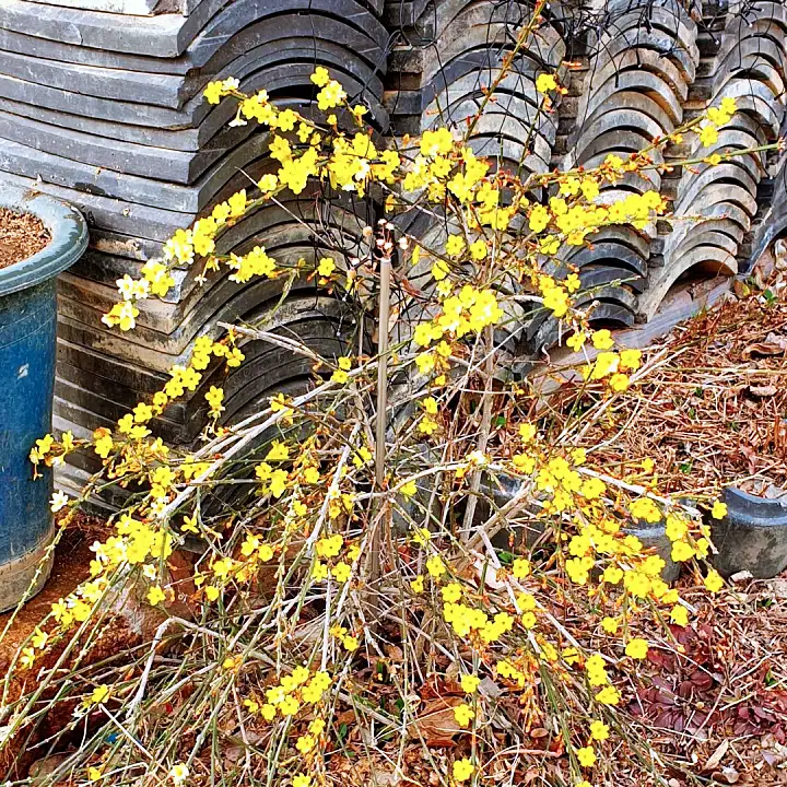 생생정보 경주 한옥스테이 펜션 숙소 전통 가옥 힐링 새해 맞이 해돋이