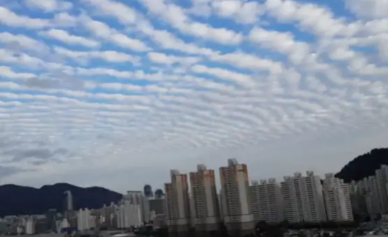 지진운 구름 모양