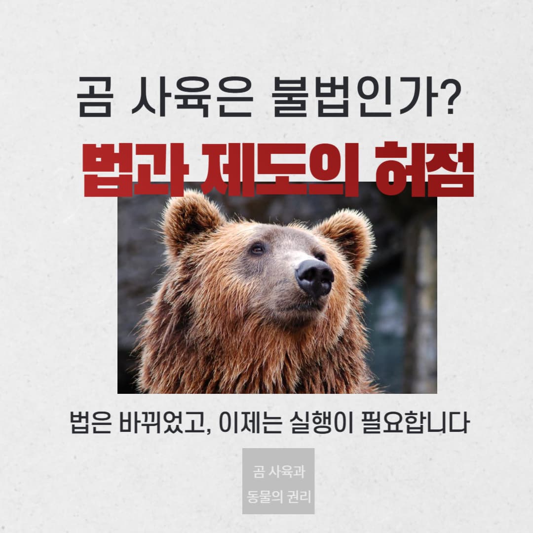 곰 사육은 불법인가? 관련 법과 제도의 허점