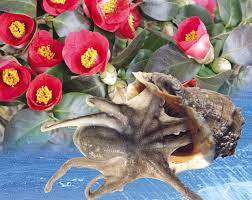 2023 전국 3월 축제 가볼만한 곳