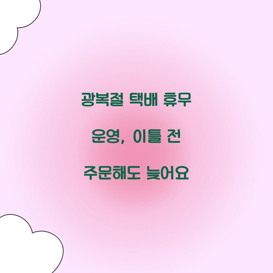 광복절 택배 휴무 운영, 이틀 전 주문해도 늦어요