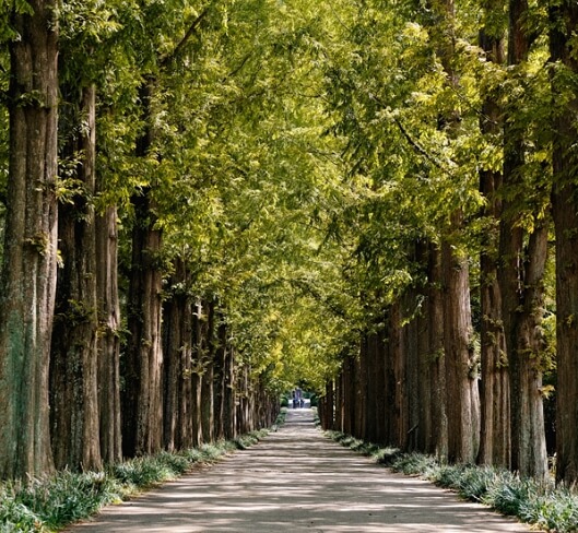 나주 가볼만한곳 베스트 10