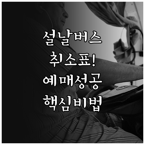 설날 고속버스 취소표 예매 전략과 시..