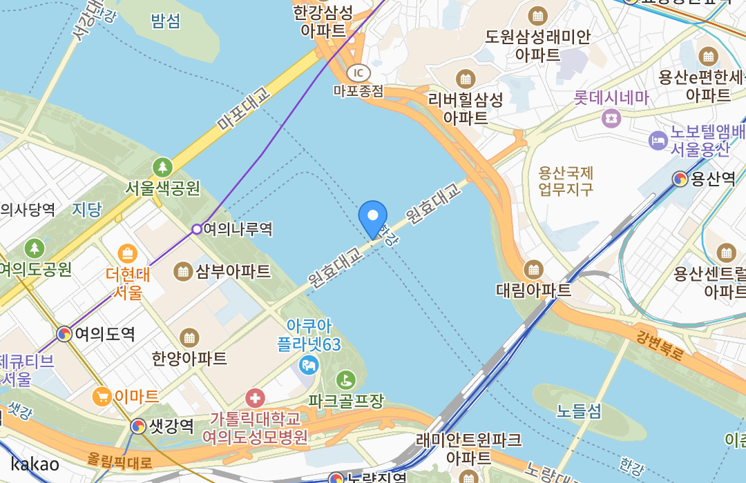 불꽃축제명당