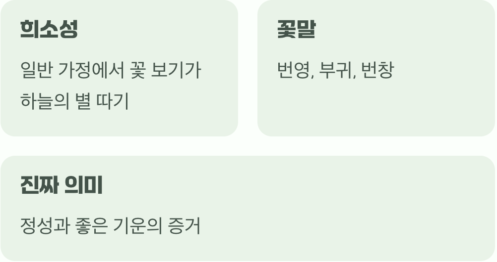 부귀화(富貴花)라 불리는 이유