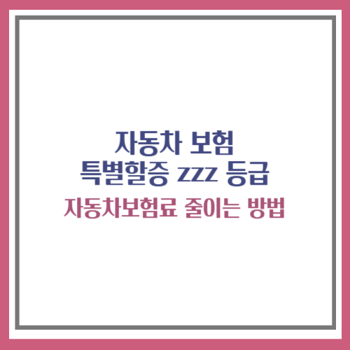 특별할증 zzz등급