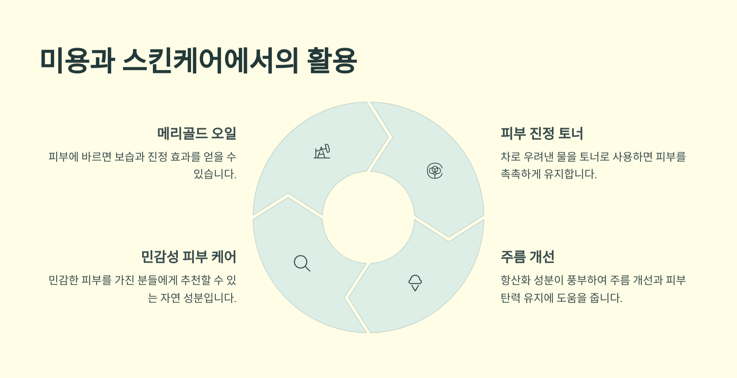 메리골드 잉카 꽃