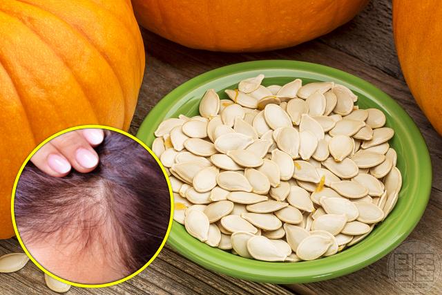 머리숱 많아지는 음식 탈모에 좋은 영양소 호박씨 아연
