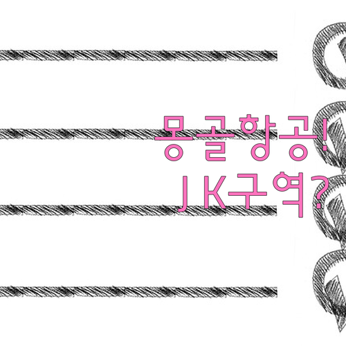 몽골항공 인천공항 터미널 T1 체크인..