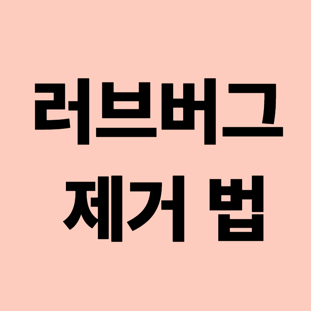 러브버그 제거법 관련 사진
