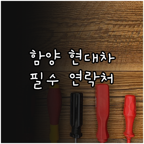 현대자동차 함양 서비스 네트워크 위치..