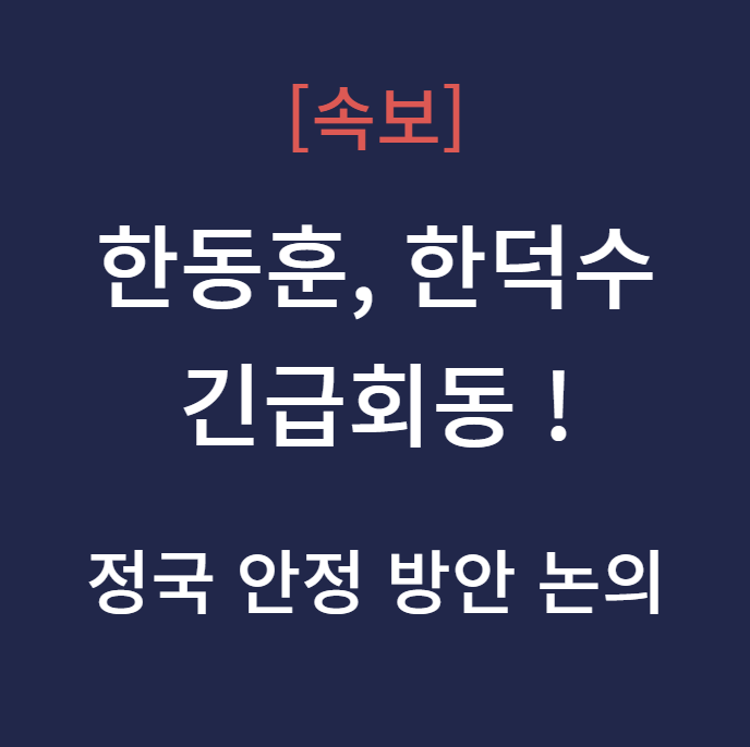 한동훈 한덕수 긴급회동 정국 안정 방안 논의