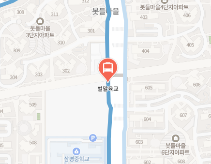 판교벌말육교에서 인천공항 리무진 공항버스(5000번) 지도 위치