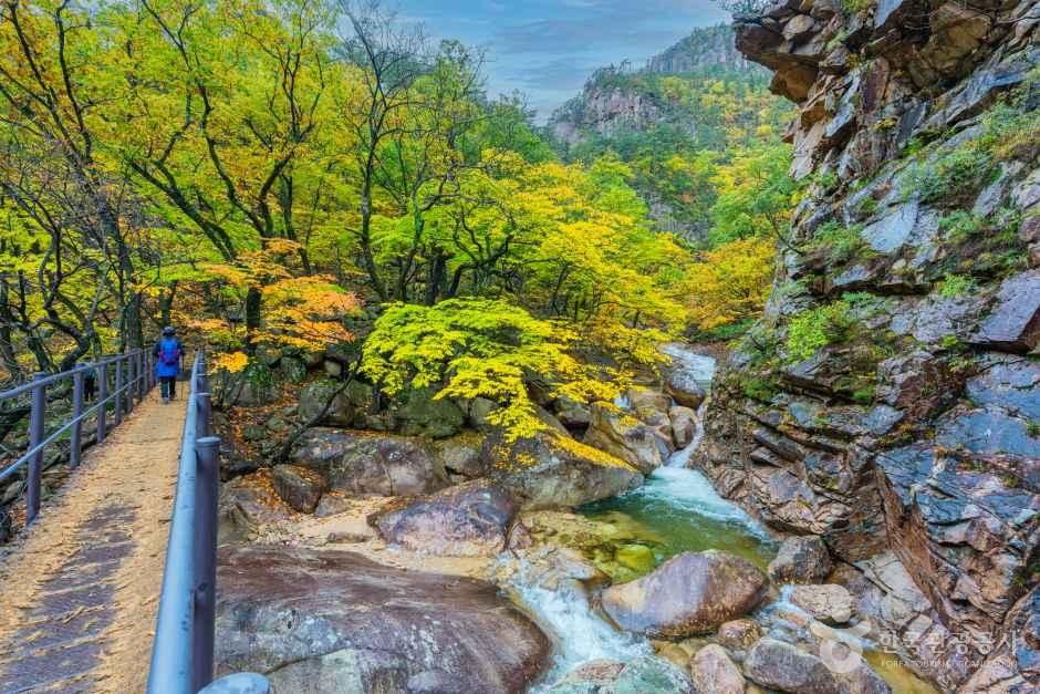 설악산 단풍 외설악 탐방로 데크길