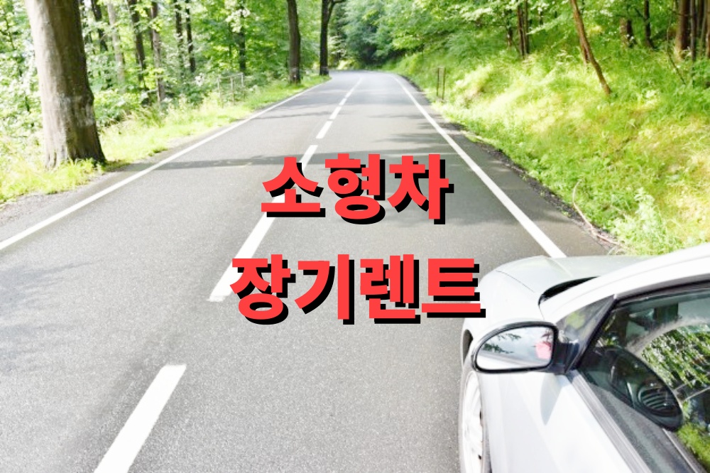 소형차 장기렌트