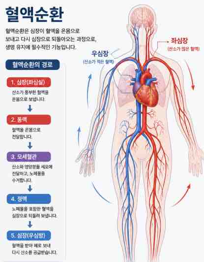 Symptoms and pain when blood circulation is not working, causes and treatments
