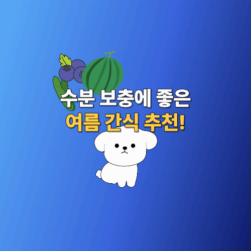 수분 보충에 좋은 여름 간식 추천!