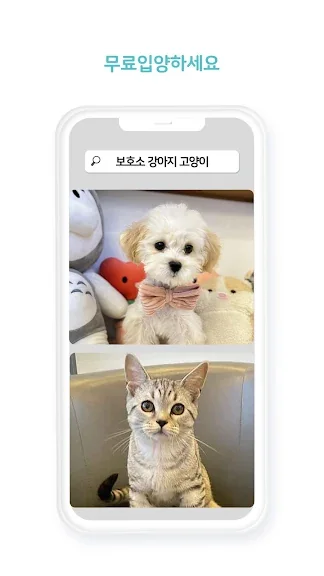 유기묘 새끼 고양이 무료 분양 어플 앱-15 유기묘 새끼 고양이 무료 분양 어플 앱-15