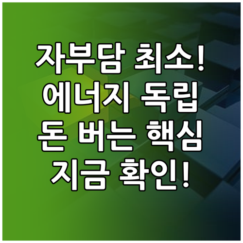 초기 자부담액 최소화로 에너지 자립 ..