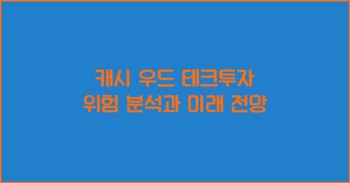 캐시 우드 테크투자 위험