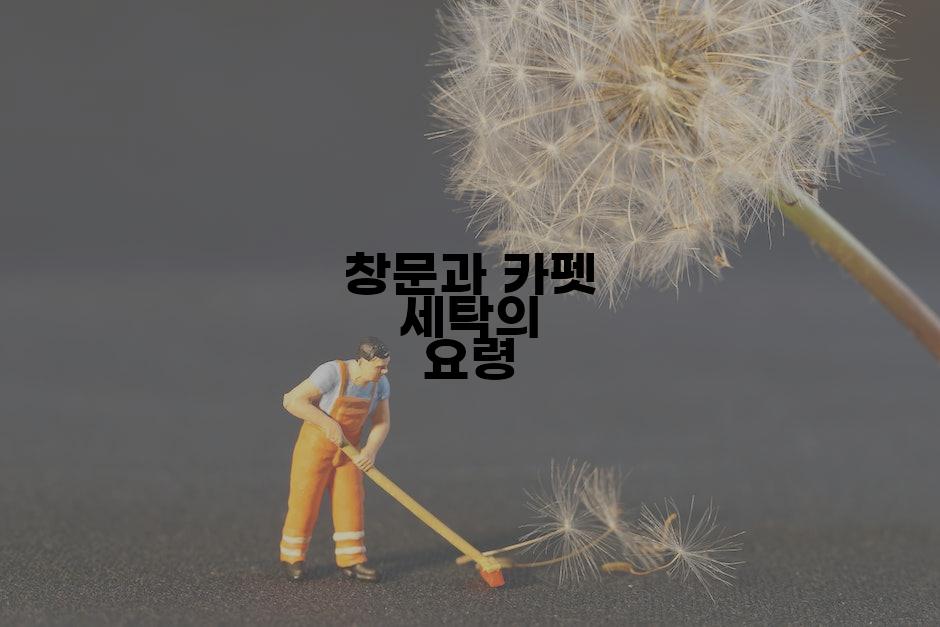 창문과 카펫 세탁의 요령