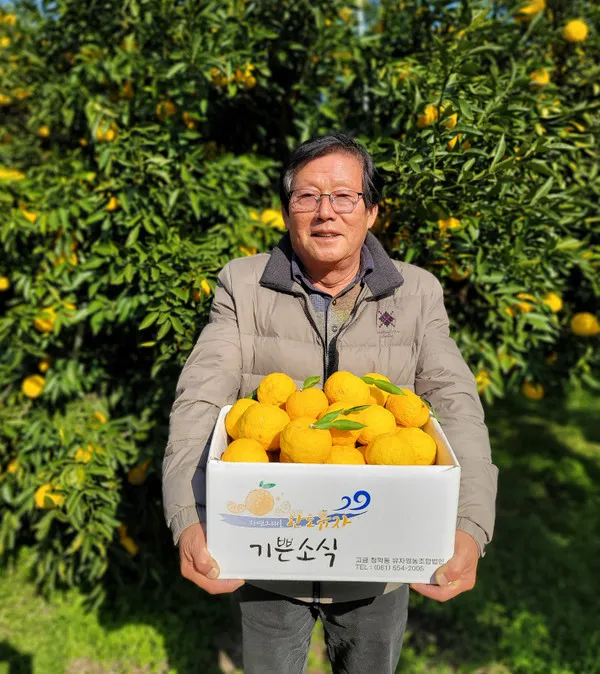 유자 재배 겨울 보온 방풍막 설치 염해 예방_3