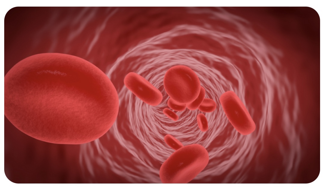 혈액의 점성이 높아짐