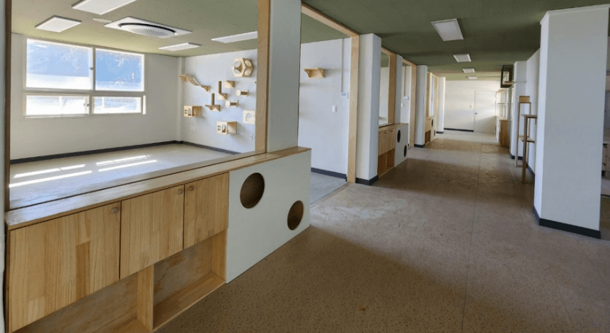 통영 고양이 학교 시설