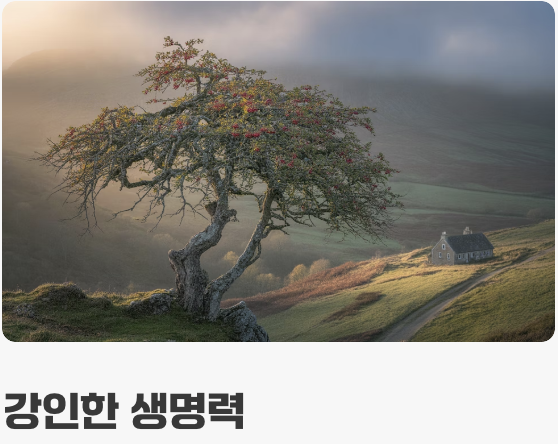 아낌없이 주는 나무&amp;#44; 산사나무