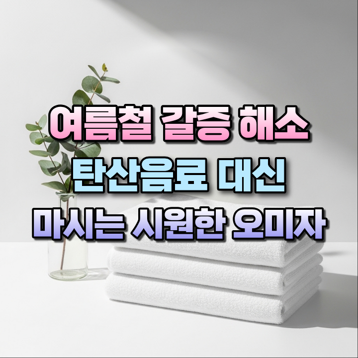 여름철갈증해소탄산음료대신마시는시원한오미자