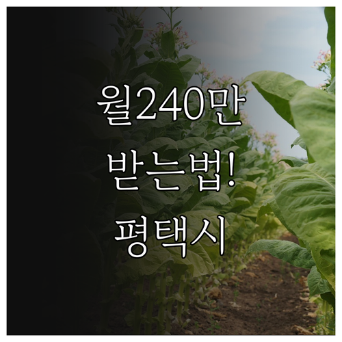 2026년 평택시 청년월세 240만원..