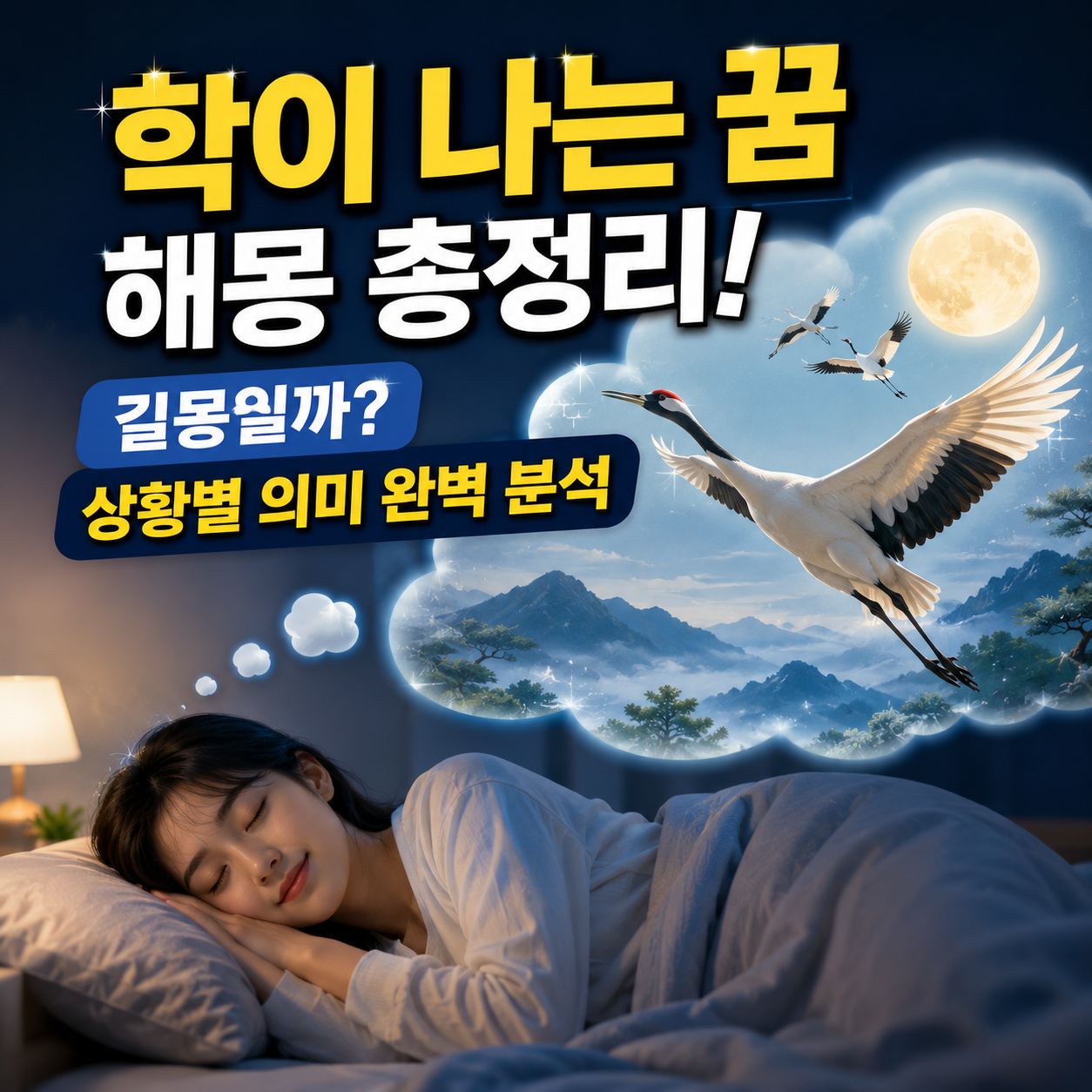 학이 나는 꿈