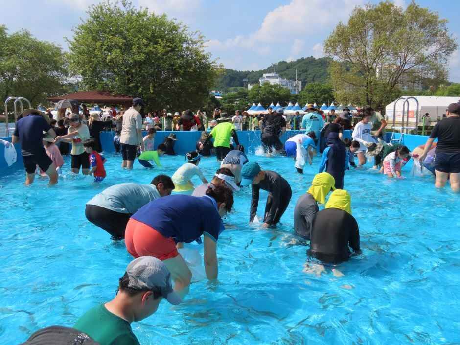 봉화은어축제 일정