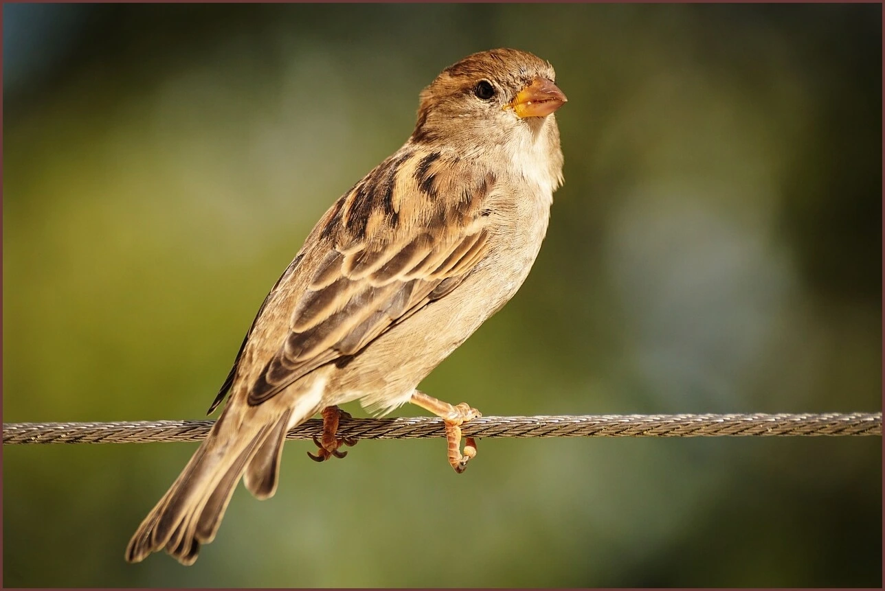 은행 정기예금 금리비교