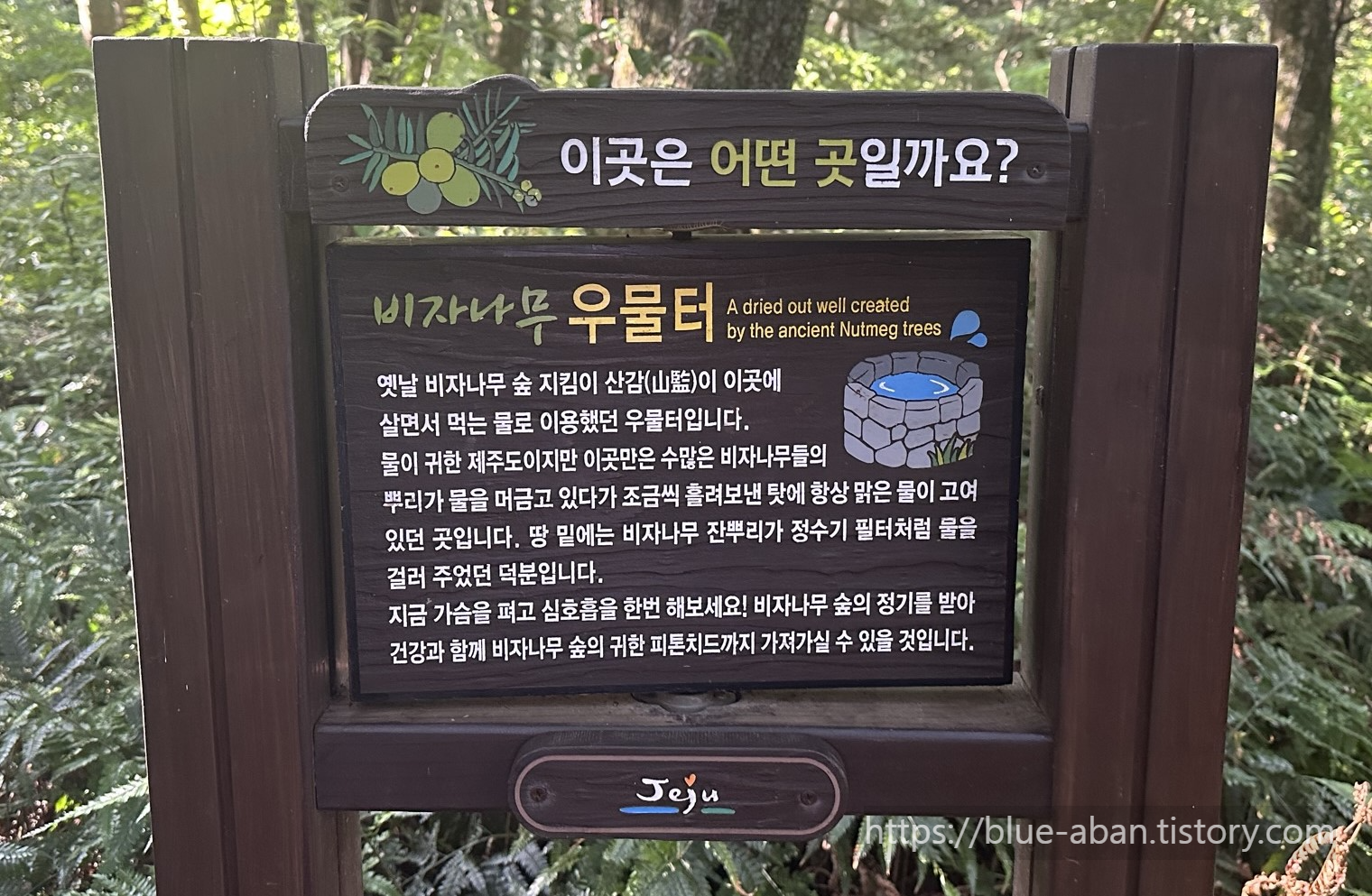 우물터 설명