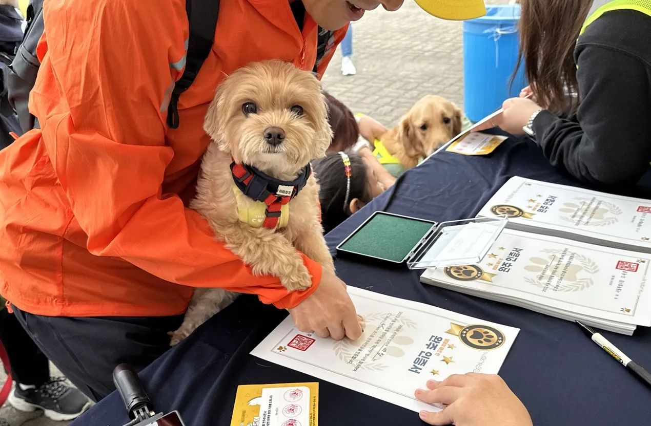동물가족 행복 페스타 뚝섬한강공원 동행런 참가 신청 방법 축제