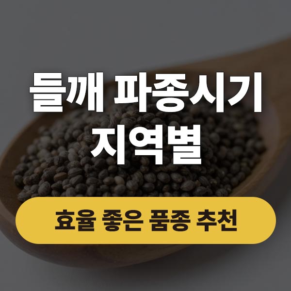 들깨 파종시기 언제? 중부 남부 기준 정리