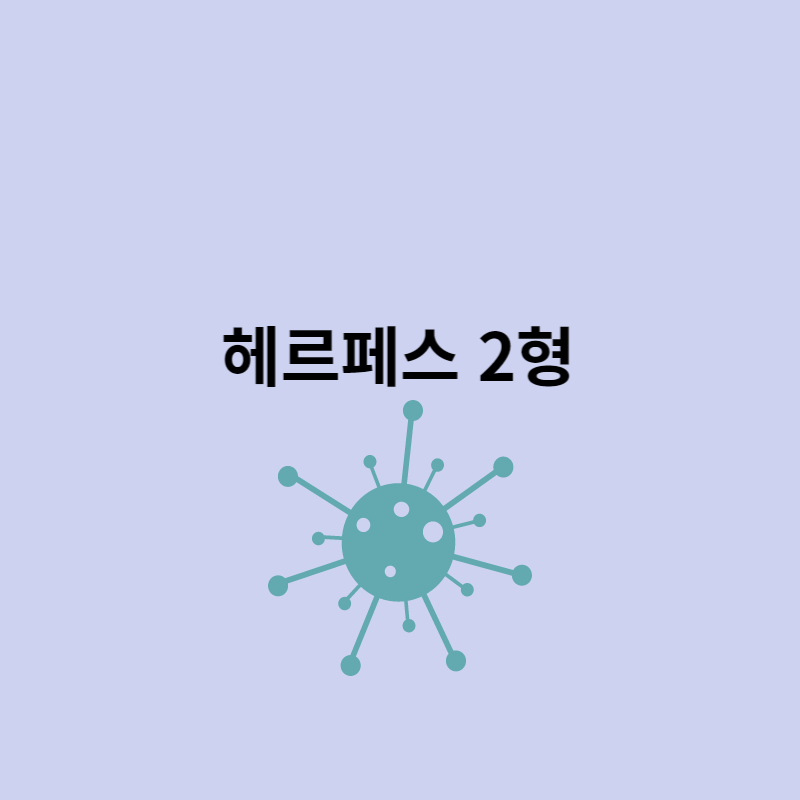 헤르페스 2형