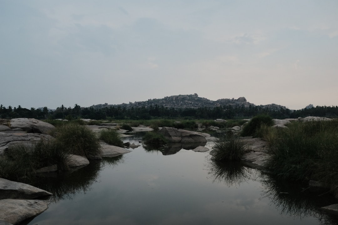 당진천 범람 원인과 피해 상황 총정리