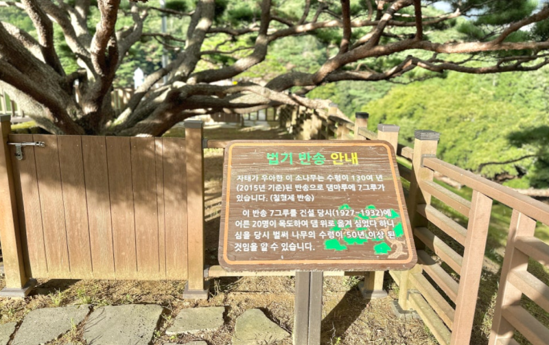 양산 법기수원지